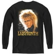 thumbnail image 1 of Trevco  LAB100-YL-2 Labyrinth & Jareth - Youth Long Sleeve Tee, Black - Medium, 1 of 1