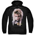 thumbnail image 1 of Trevco Labyrinth-Goblin King Adult Pull-Over Hoodie- Black - Small, 1 of 1