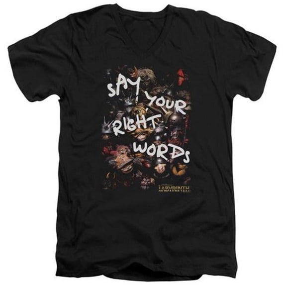 Trevco Labyrinth-Right Words Short Sleeve Adult V-Neck 30-1 Tee- Black - XL