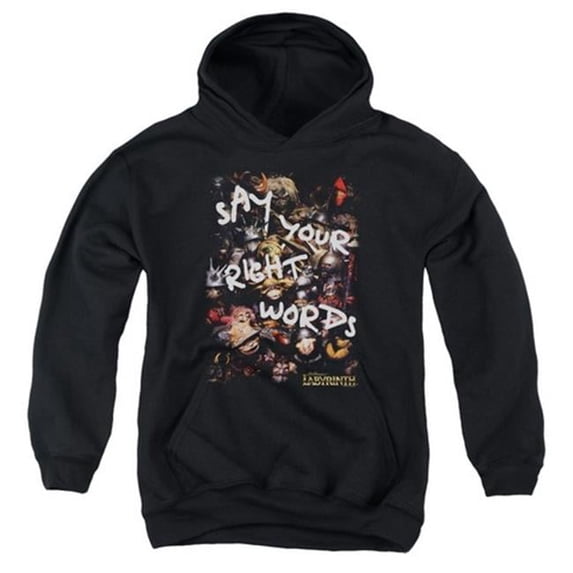 Trevco Labyrinth-Right Words Youth Pull-Over Hoodie- Black - Small