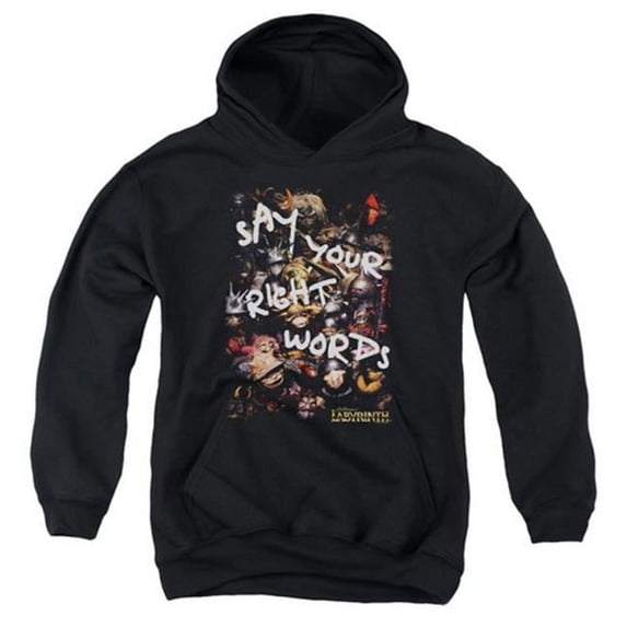Trevco Labyrinth-Right Words Youth Pull-Over Hoodie- Black - XL