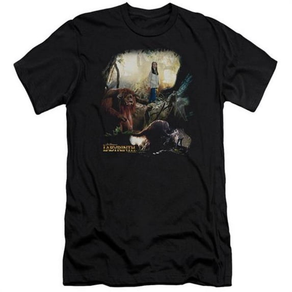 Trevco Labyrinth-Sarah & Ludo Short Sleeve Adult 30-1 Tee- Black - XL