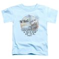 thumbnail image 1 of Trevco Labyrinth-Tea Short Sleeve Toddler Tee- Light Blue - Medium 3T, 1 of 1