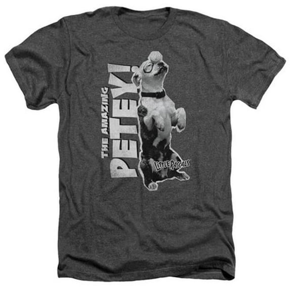 Trevco Little Rascals-Amazing Petey - Adult Heather Tee - Charcoal- 2X
