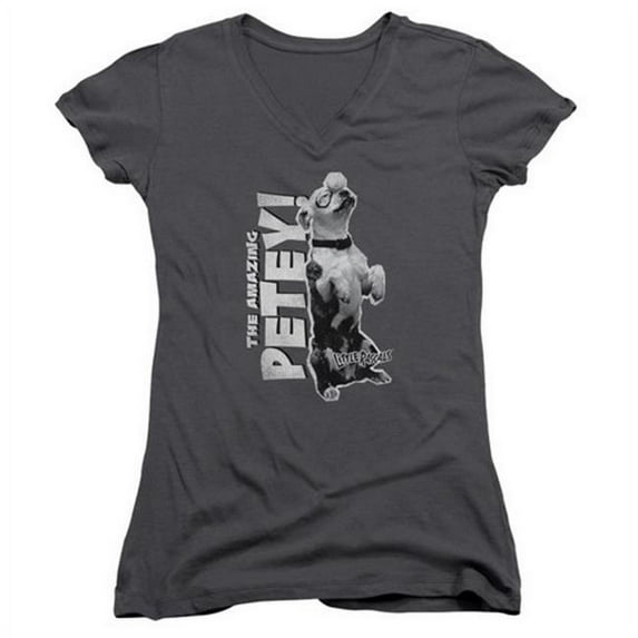 Trevco Little Rascals-Amazing Petey - Junior Tee - Charcoal- Large