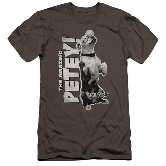 Trevco Little Rascals & Amazing Petey Premium Canvas Adult Cotton Slim Fit 30-1 T-Shirt, Charcoal - Extra Large