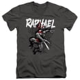 thumbnail image 1 of Trevco NICK285-AV-1 TMNT & TMNT Raphael Short Sleeve Adult V-Neck 30-1 T-Shirt, Charcoal - Small, 1 of 1