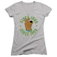 thumbnail image 1 of Trevco  SD133-JV-3 Scooby Doo & Scooby 1969 Junior V-Neck T-Shirt, Athletic Heather - Large, 1 of 1