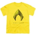 thumbnail image 1 of Trevco Sportswear AQUA123-YT-4 Aquaman Movie Aquaman Logo Youth Short Sleeve T-Shirt, Orange - Extra Large, 1 of 1