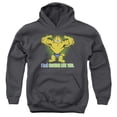 thumbnail image 1 of Trevco Sportswear GAR268-YFTH-2 Garfield Nothing Like This Youth Hooded Sweatshirt, Charcoal - Medium, 1 of 1