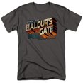 thumbnail image 1 of Trevco Sportswear HBRO683-AT-5 Dungeons & Dragons Baldurs Gate Adult Regular Fit Short Sleeve T-Shirt, Charcoal - 2X, 1 of 2