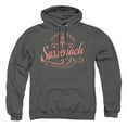 thumbnail image 1 of Trevco Sportswear SONYT116-AFTH-2 Outlander Sassenach Adult Pullover Hoodie, Charcoal - Medium, 1 of 1