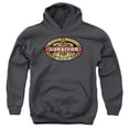 thumbnail image 1 of Trevco Survivor-Fiji - Youth Pull-Over Hoodie - Charcoal- Large, 1 of 1