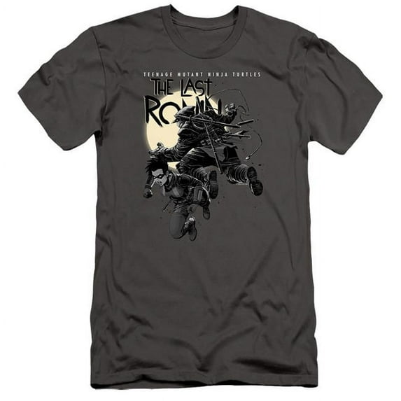 Trevco Teenage Mutant Ninja Turtles & Casey Marie Jones Leaping Short Sleeve Adult 30-1 T-Shirt, Charcoal - 2X