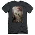 thumbnail image 1 of Trevco The Hobbit-Balin Short Sleeve Adult 30-1 Tee- Charcoal - Medium, 1 of 1