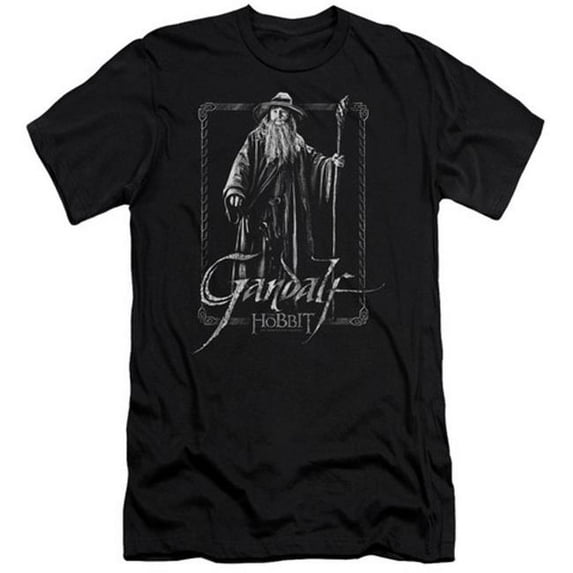 Trevco The Hobbit-Gandalf Stare Short Sleeve Adult 30-1 Tee- Black - Medium