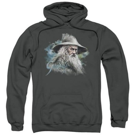 Trevco The Hobbit-Gandalf The Grey Adult Pull-Over Hoodie- Charcoal - Medium