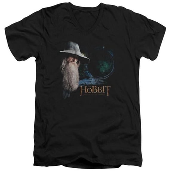 Trevco The Hobbit-The Door Short Sleeve Adult V-Neck 30-1 Tee- Black - Medium