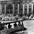 thumbnail image 1 of Trevi Fountain Rome Italy Poster Print - 18 x 24 in., 1 of 1