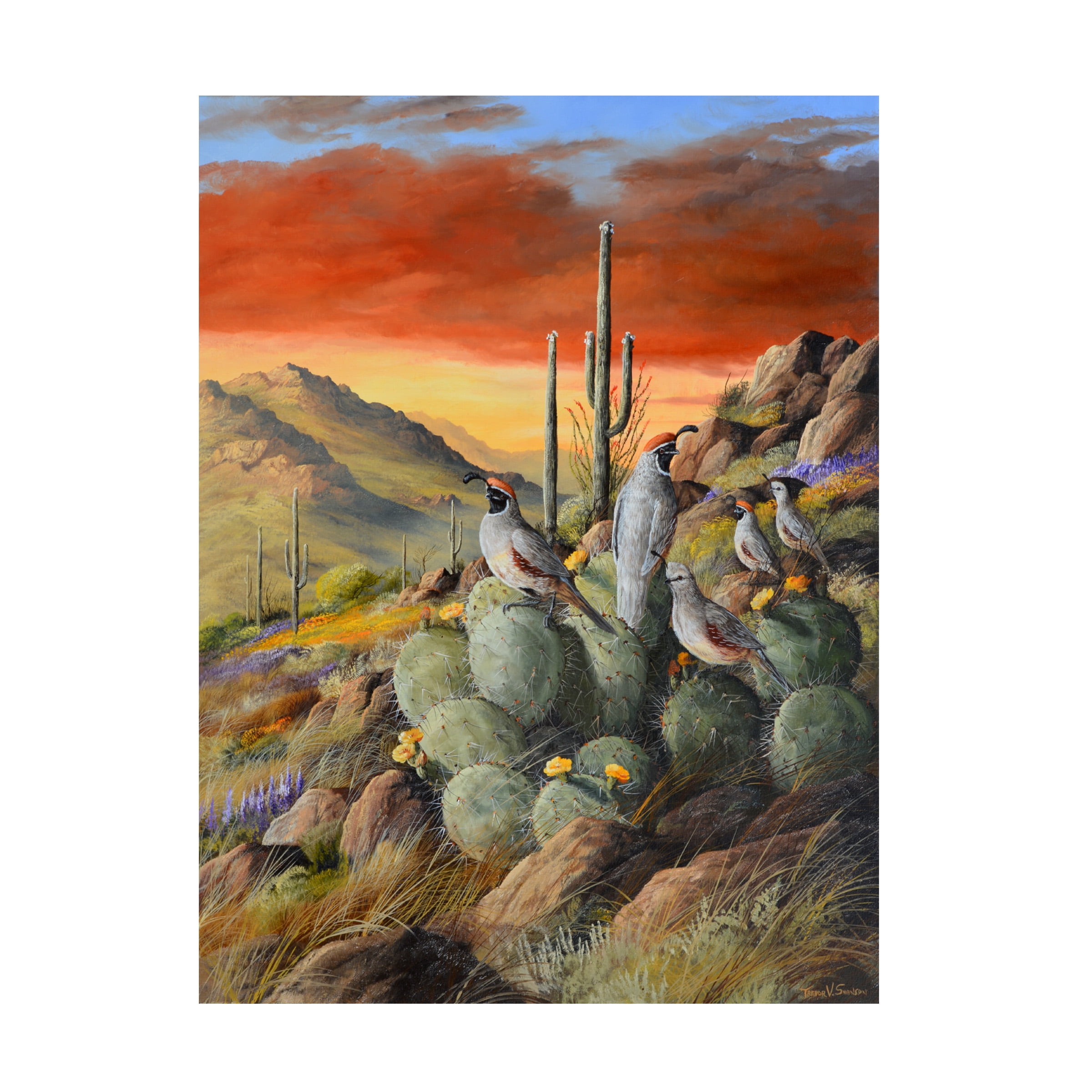 Trevor V. Swanson 'Birds I' Canvas Art