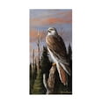 thumbnail image 1 of Trevor V. Swanson 'Storm Watcher' Canvas Art, 1 of 4
