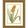 thumbnail image 1 of Trew, Christopher J. 11x14 Gold Ornate Wood Framed with Double Matting Museum Art Print Titled - Antique Hyacinth VIII, 1 of 4