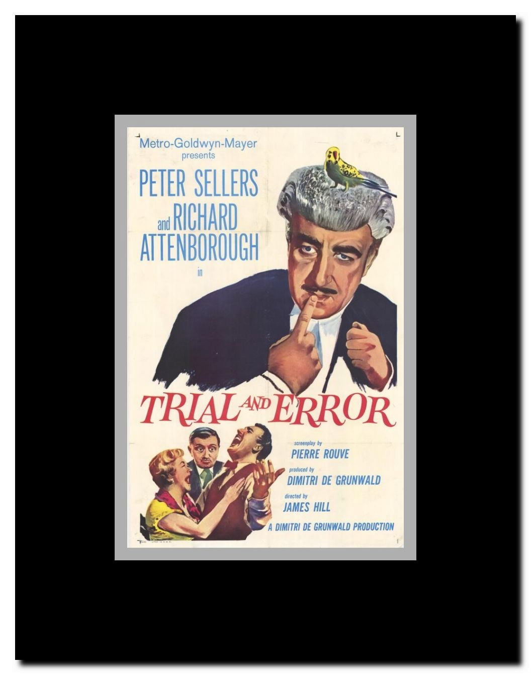 Trial & Error Framed Movie Poster