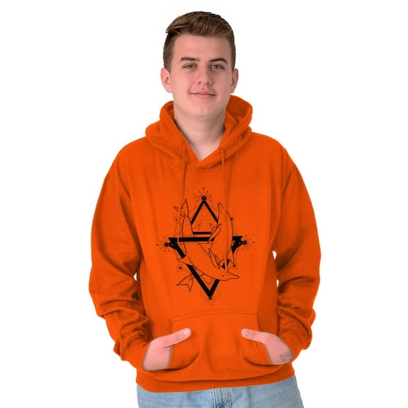 Triangle Dolphin Symbol Spirit Animal Unisex Plus Fleece Graphic Hoodie Brisco Brands 2X