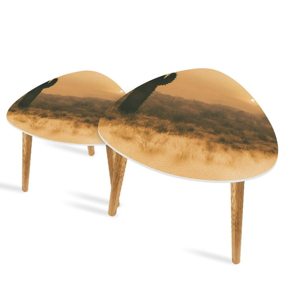 Triangle End Tables Set of 2 Saguaro Silhouette Smoky Campfire Plains Small Coffee Table, Tea Table, Nesting Tables for Living Room