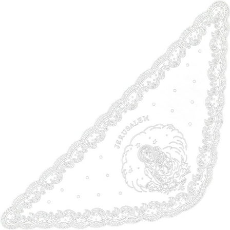 Hsqqdc Floral Lace Triangle Veil - Embroidered Wedding Shawl for Bride Church Ceremony and Evening Events