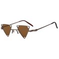 thumbnail image 1 of Triangle Sunglasses - Bronze Frame / Brown Lens, 1 of 3