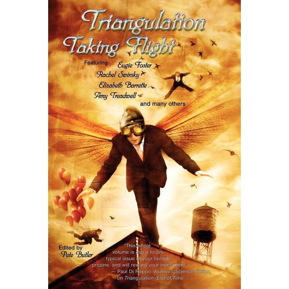 Triangulation: Taking Flight (Paperback)