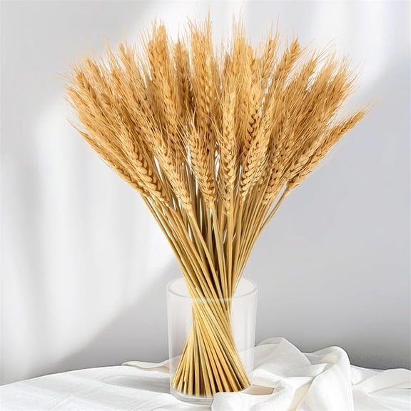 Triani 100 Stems Dried Wheat Stalks 15.75" Natural Wheat Bundle Farmhouse Artificial Flowers Arrangement for Home Decor Crafts Party Decorative