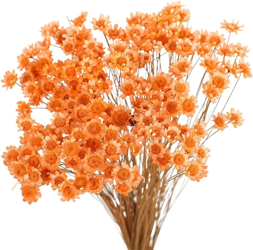 Triani 100Pcs Orange Small Star Daisy Dried Flowers Decorative Dried