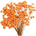 Triani 100Pcs Orange Small Star Daisy Dried Flowers Decorative Dried