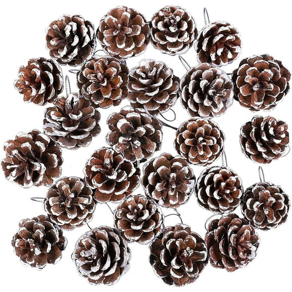 Triani 18Pcs Pine Cones with Silver String for Home Decor Natural White Pine Cone for Crafts Christmas Trees Decoration Ornaments Pinecones,Brown