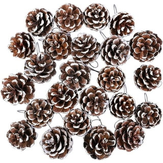 Yyeselk 9cm 8Pieces Pine Cones for Christmas Tree Christmas Pine Cones  Ornaments Frosted Pine Cones Decorations Mini Pine Cones Xmas Pinecones  with String Pendant Crafts for Winter Farmhouse Party 