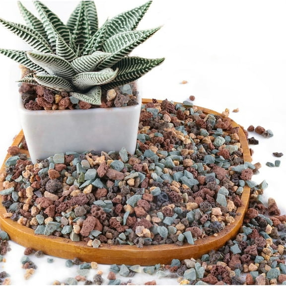Triani 2.2 lbs Horticultural Succulent Granule Soil Mix 5-8mm Pumice Pebbles Mix Horticultural Lava Rock for Terrarium Gardening Top Dressing