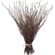 Triani 20Pcs Natural Birch Twigs Branches 19.6 Dried Plants Decorative for Decoration Curly Willow Branches Twigs for Vase Fillers Party Supplies Home Ornament