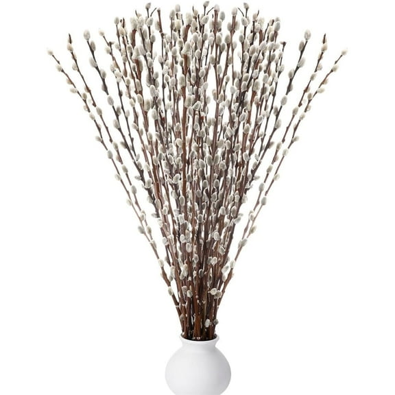 Triani 20Pcs Natural Preserved Dried Pussy Willow Branches for Vases 15.75 Inch Snow Willow Branches Dried Flowers for Indoor and Outdoor Decor Wedding Home Hotel Fireplace Yard Decor