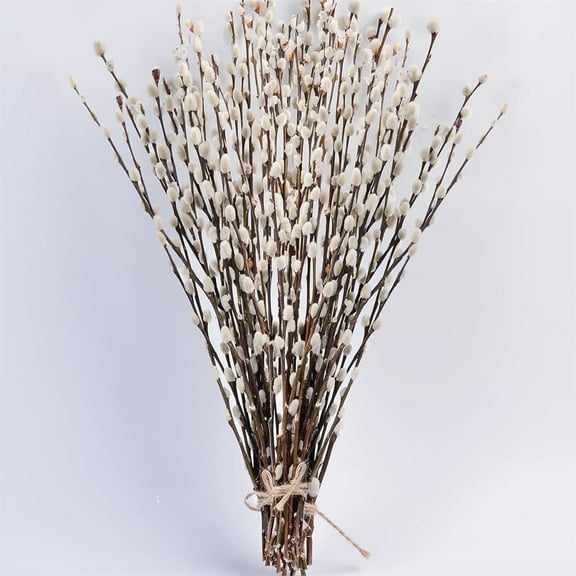 Triani 20Pcs Dried Pussy Willow Branches 15.75 Inch Preserved Dried Pussy Branches Snow Pussywillows with White Flowers Rustic Greenery for Easter Wedding Home Hotel Fireplace Decor