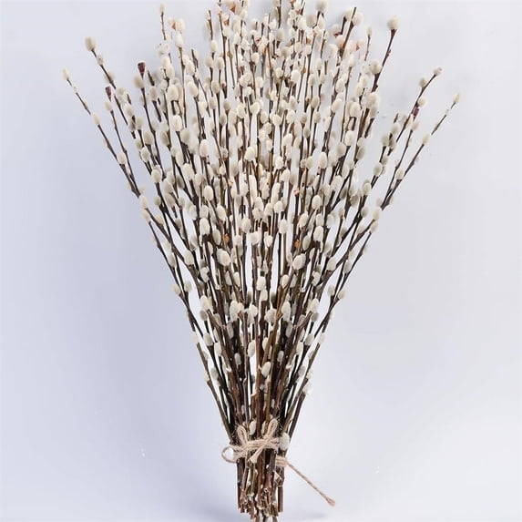 Triani 20Pcs Dried Pussy Willow Branches 15.75 Inch Preserved Dried Pussy Branches Snow Pussywillows with White Flowers Rustic Greenery for Easter Wedding Home Hotel Fireplace Decor