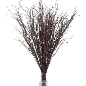 Triani 20Pcs Real Dried Birch Twigs Branches 19.6" Natural Decorative Birch Branches for Easter Vases Curly Willow Branches for Vases Wedding Arrangements Home Wreath Decor