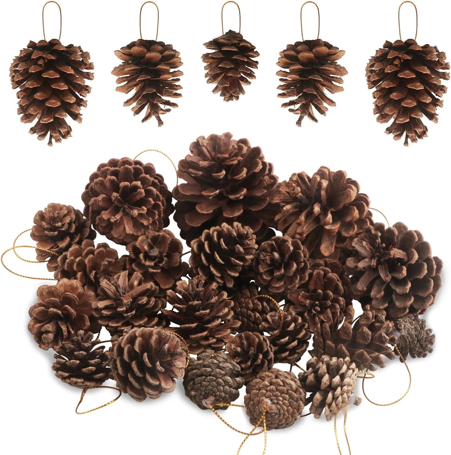Triani 25 Pcs Christmas Natural Pine Cones, Large Pine Cones Christmas