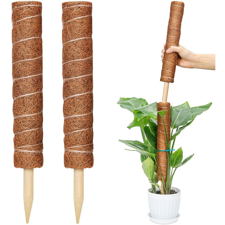 Triani 31.4 inch Moss Pole Monstera - 2 Totem Moss Poles for Climbing  Plants - Coir Moss Totem Poles Plant Stakes and Sticks - Support Indoor  Plants