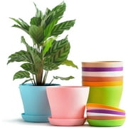 Triani 8 Pieces 4 Round Multi-Color Plastic Plant Pot Succulents Pots Indoor Outdoor Garden Planters with Multiple Drain Holes and Saucer for Seedling Transplanting