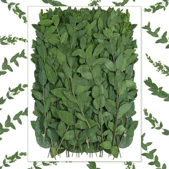 Triani 50Pcs Real Dried Pressed Green Leaves 5.11 Inch Natural Preserved Real Eucalyptus Stems Dried Flowers Greenery for Resin Art Arrangements Home Wedding Bouquets