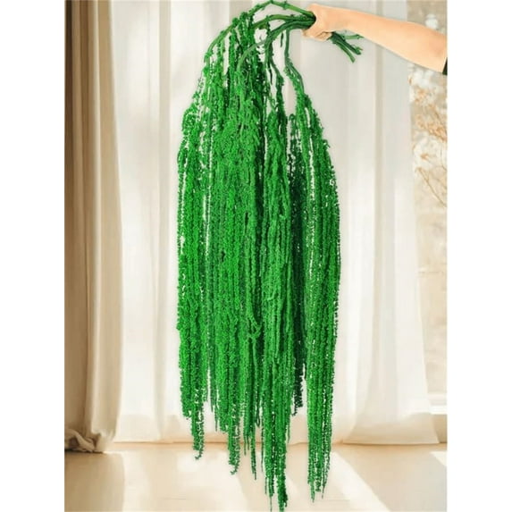 Triani 5Pcs Amaranthus Flower 16-28 Inch Preserved Amaranthus Flowers Wisteria Vine Hanging Flowers for Wedding Arch Decor Exhibition Floral Arrangement(Dark Green)