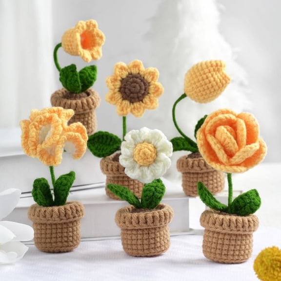 Triani 6 Pcs Beginner Crochet  Potted Plants Kit, Complete Crochet Kit for Beginners, Starter Pack for Adults and Kids,Multicolor