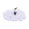 thumbnail image 1 of Triani 84Pcs Hydroponic Sponge 1.26"*1.18" Hydroponic Sponge Planting Tool Growing Media Cylindrical Sponges for Home Vegetable Flower Cultivation Planting Gardening Tool (White), 1 of 7